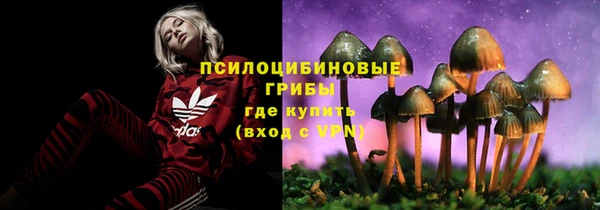 гидропоника Богданович