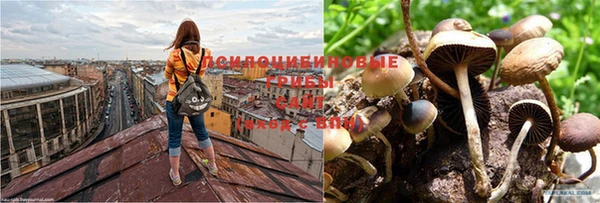 кокс Богородск