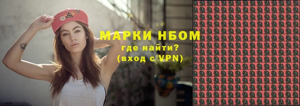 твердый Богородицк