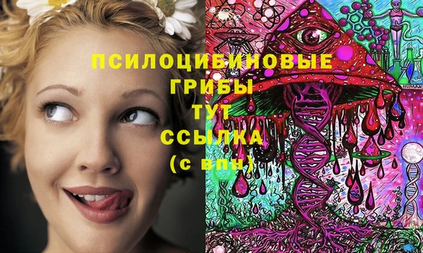 твердый Богородицк